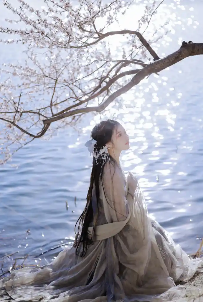 午夜影院数据图表